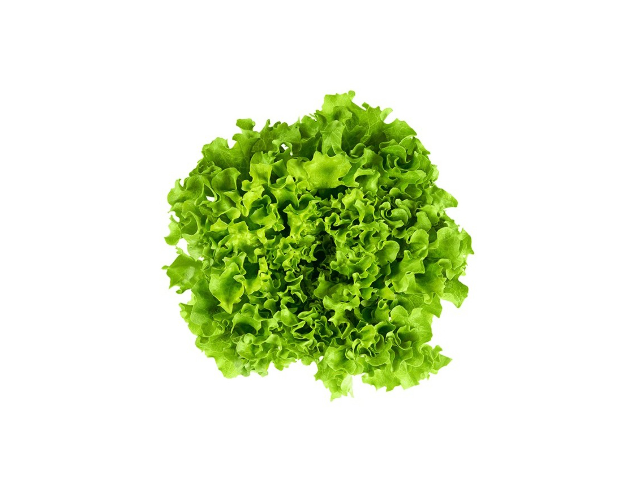 Segar2go Malaysia Crispy Lettuce, 200 g