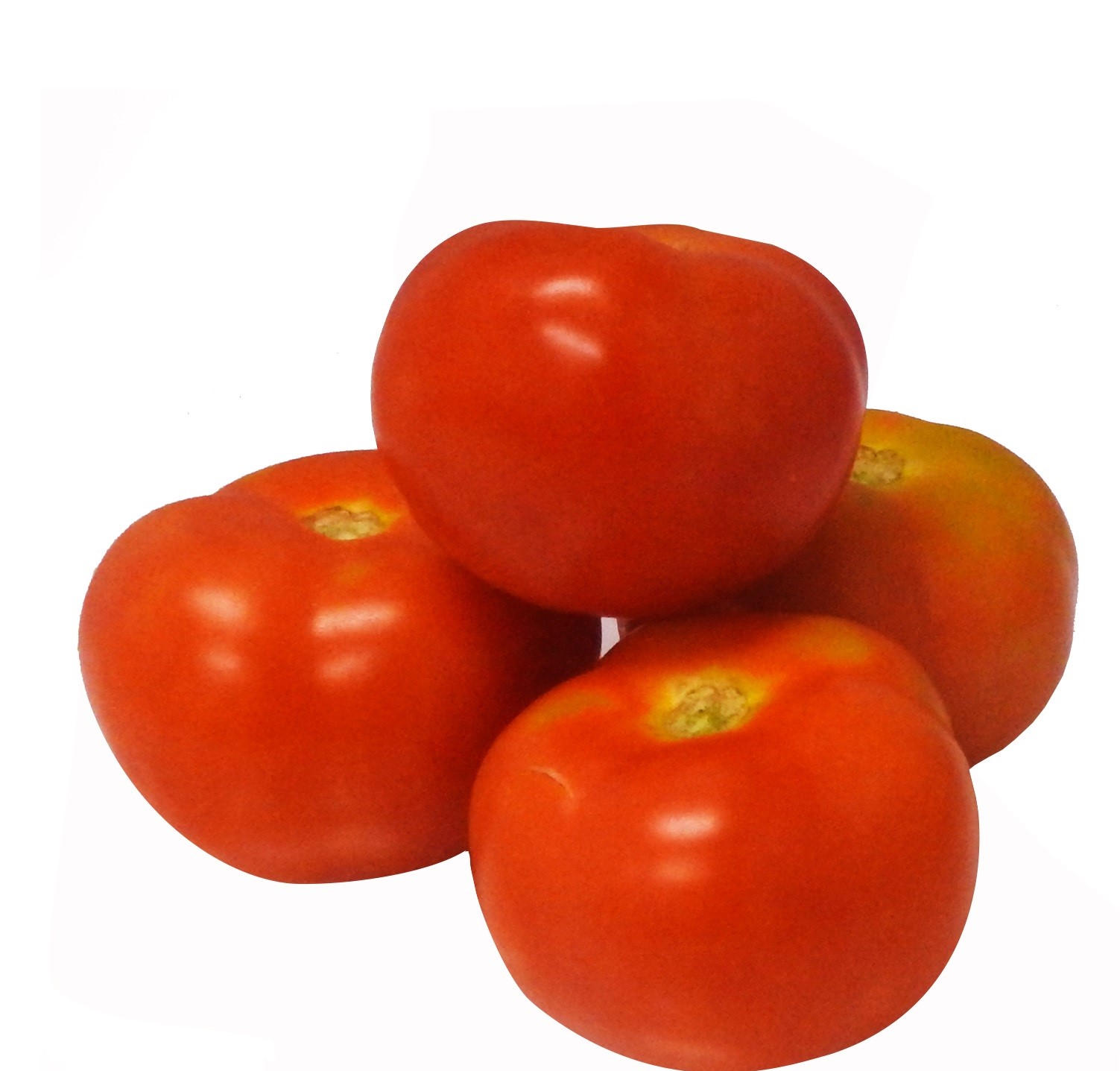 Malaysia Local Tomato, 500g
