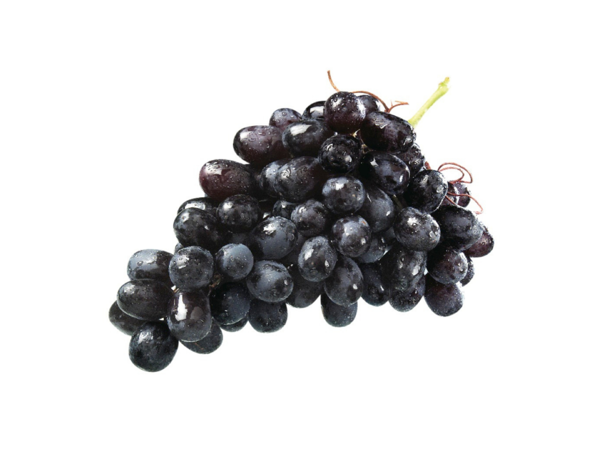 Egypt Black Magic Seedless Grapes