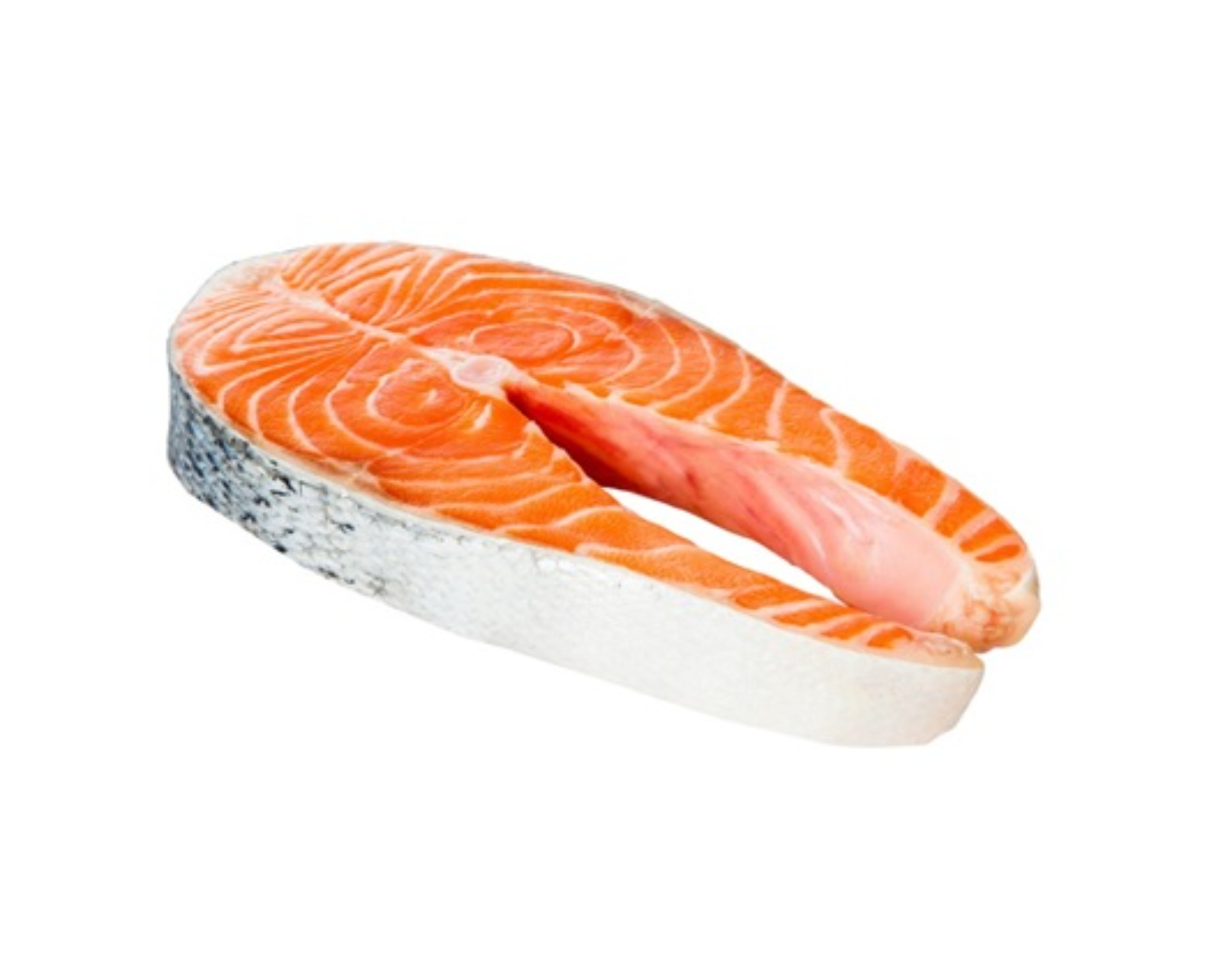 Fresh Norwegian Fjord Trout Fish Steak