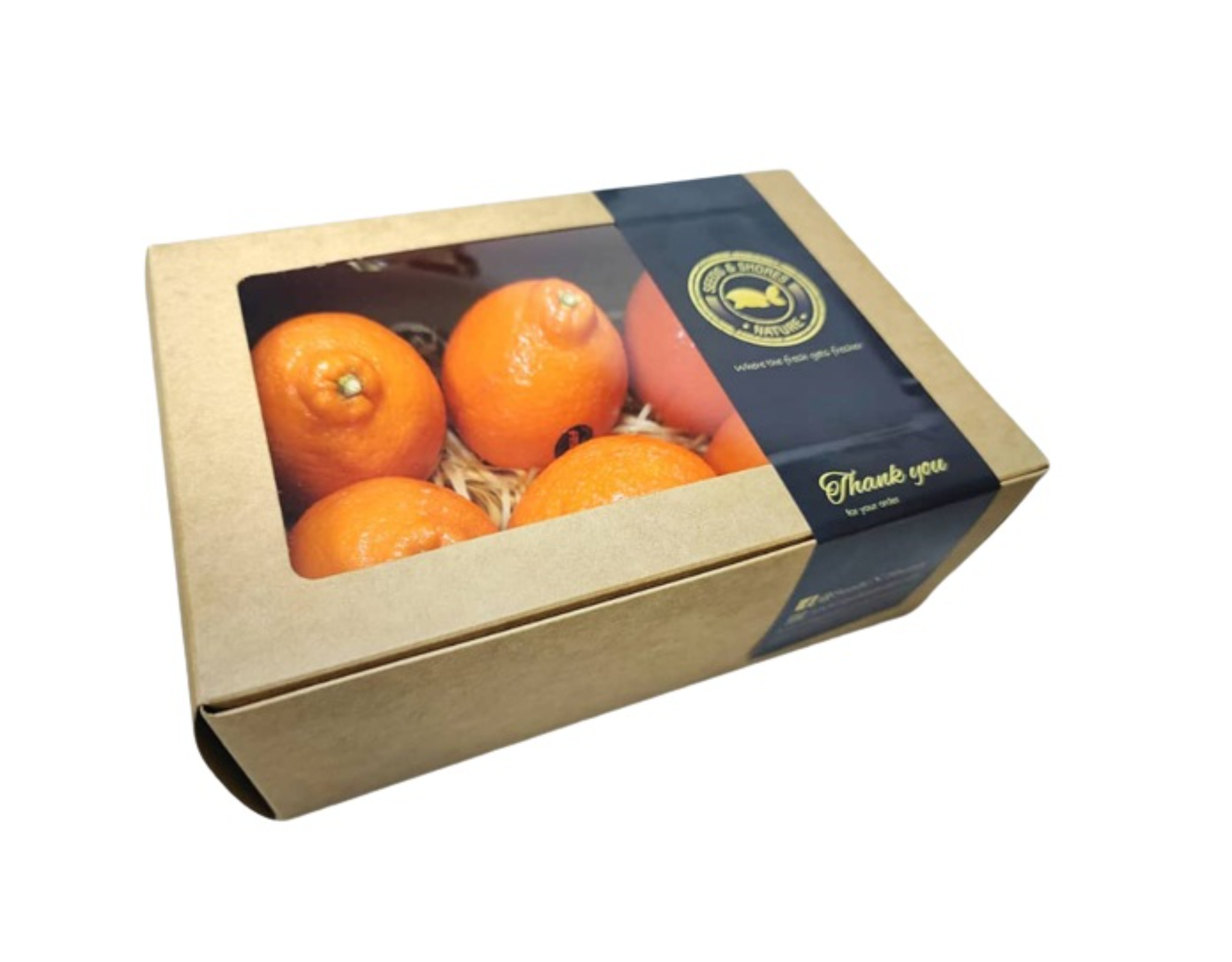 Tangelo Block Tangelo Orange Gift Box | myaeon2go