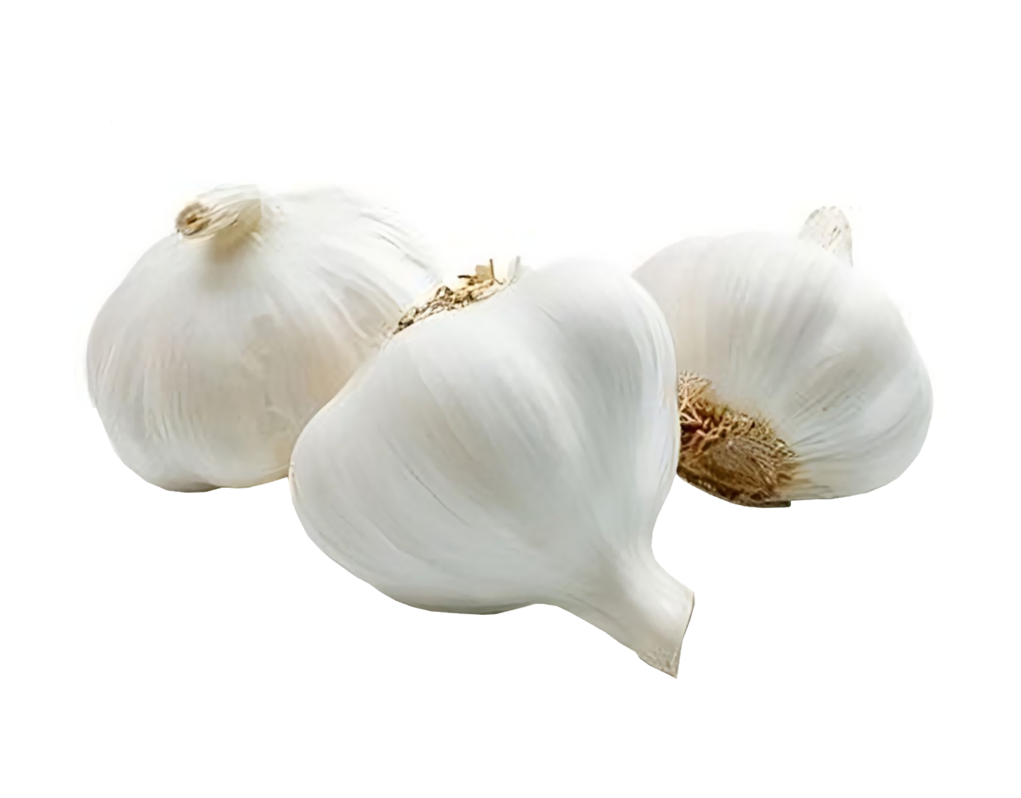 China White Garlic, 300 g