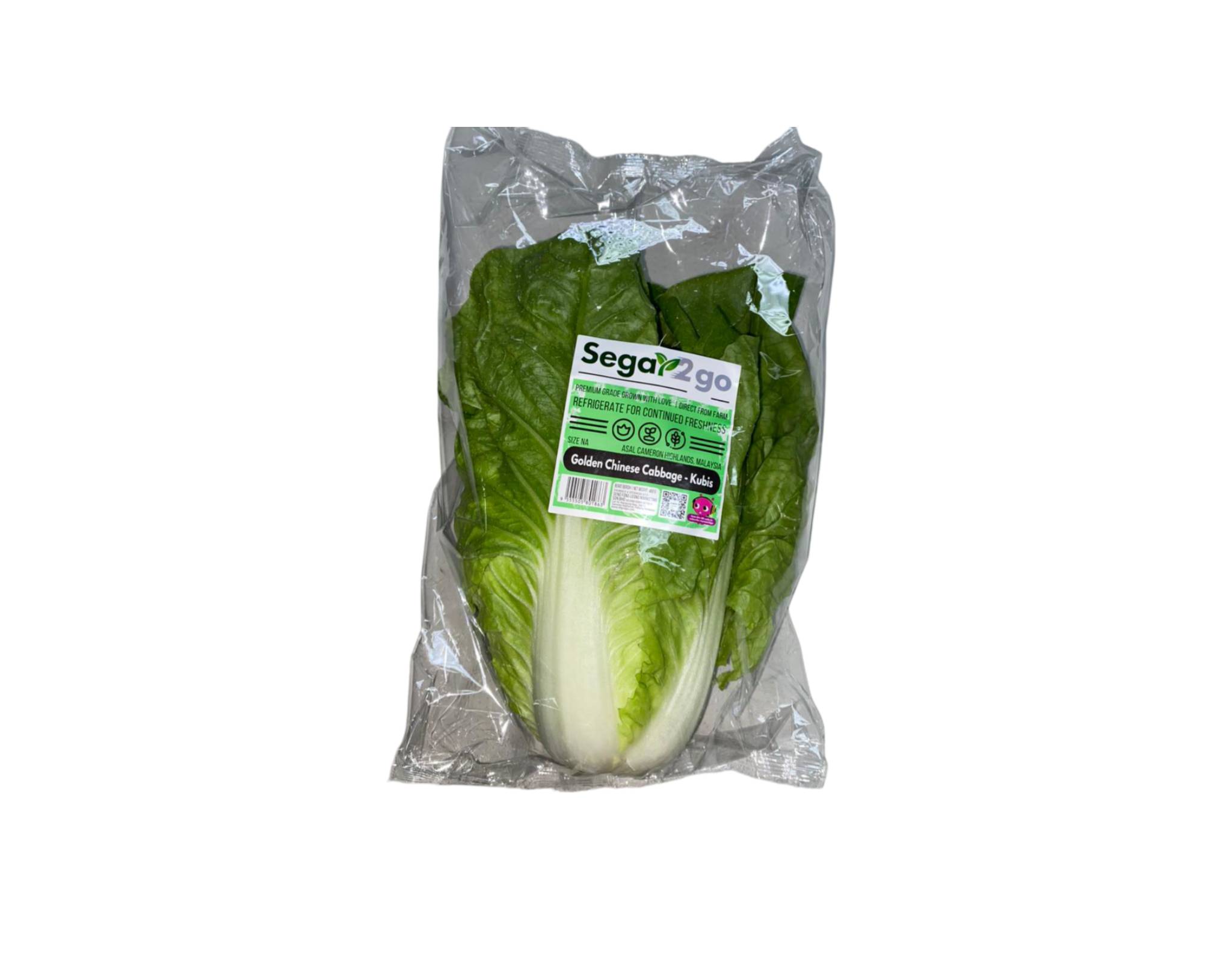 Segar2go Golden Chinese Cabbage,450 g - Fresh from China