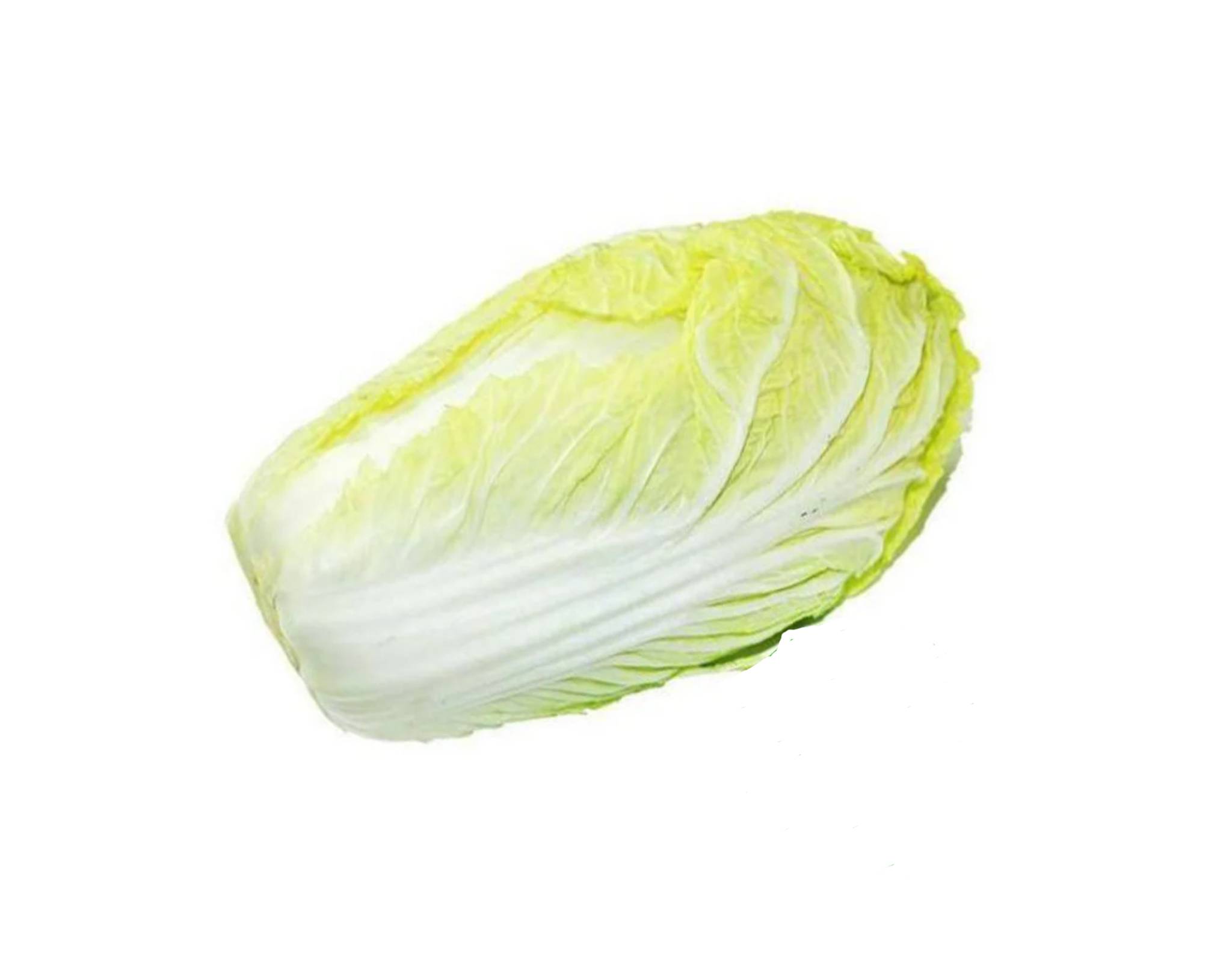 N&P Organic Chinese Cabbage Size M | myaeon2go