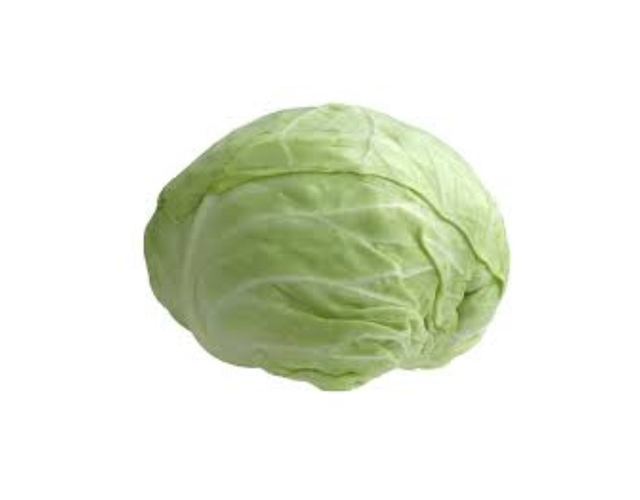 N&P Organic White Cabbage Size M | myaeon2go