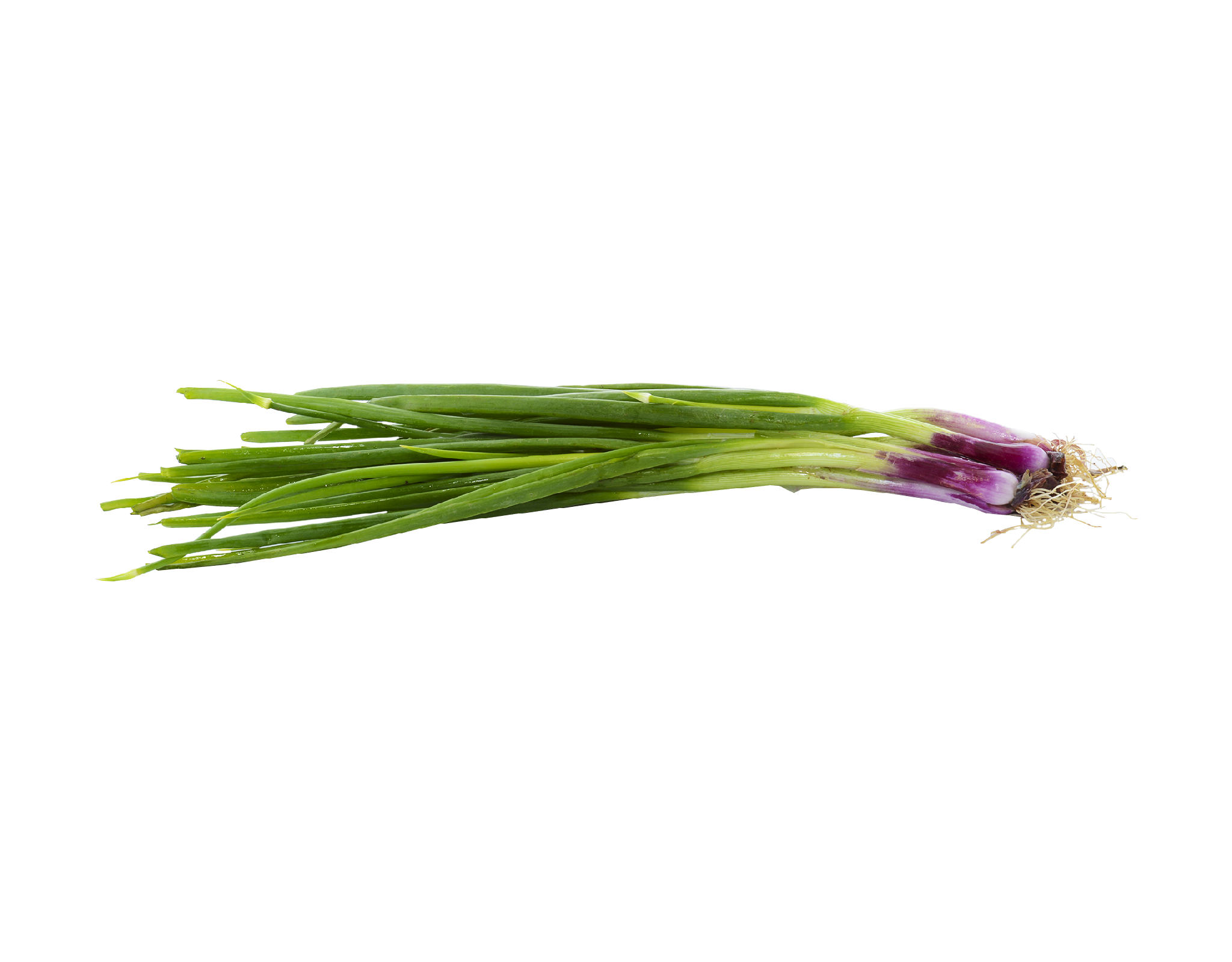 Edsam Edsam Spring Onion, Malaysia, 100g - Fresh Produce