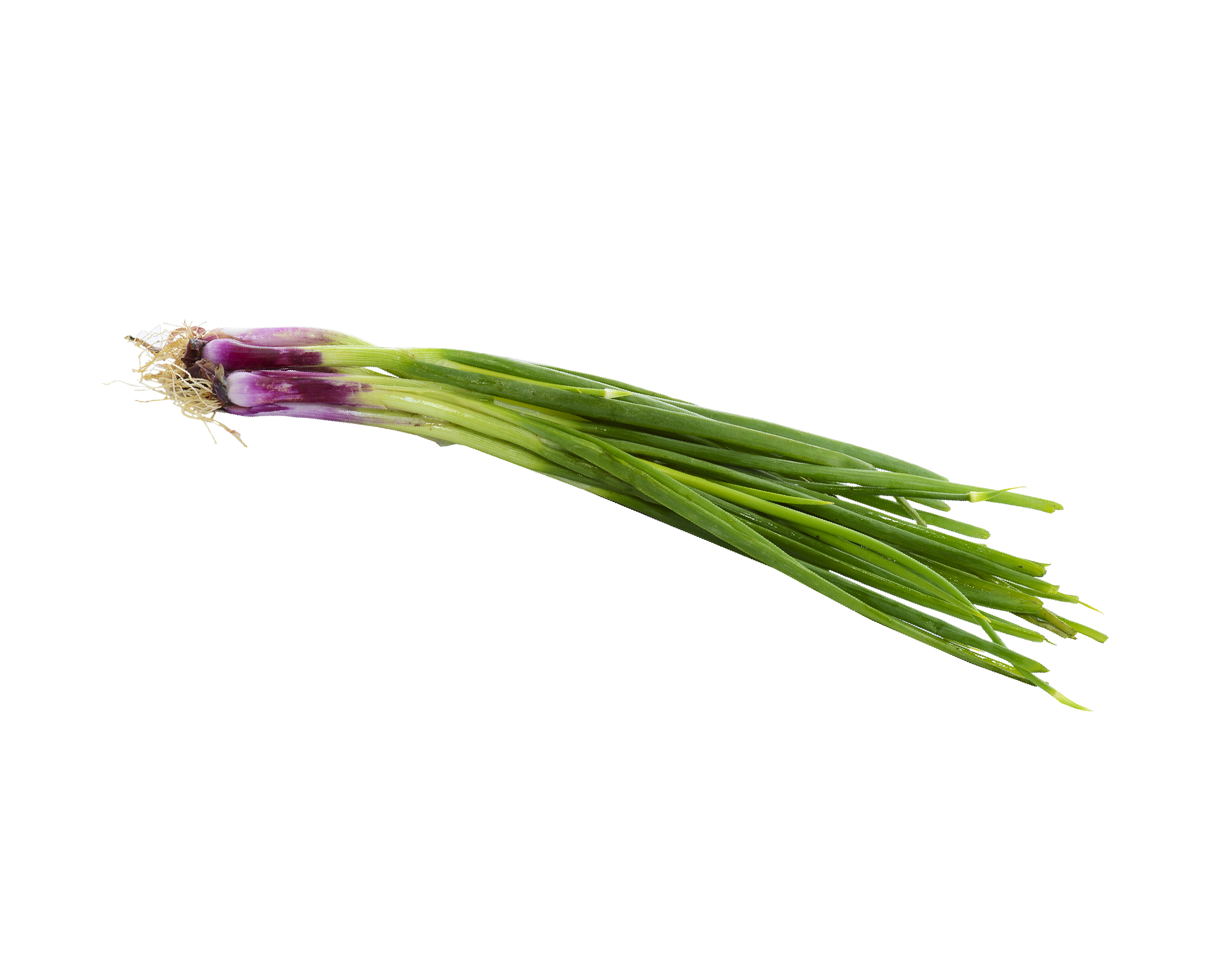 Chitose Spring Onion 60g