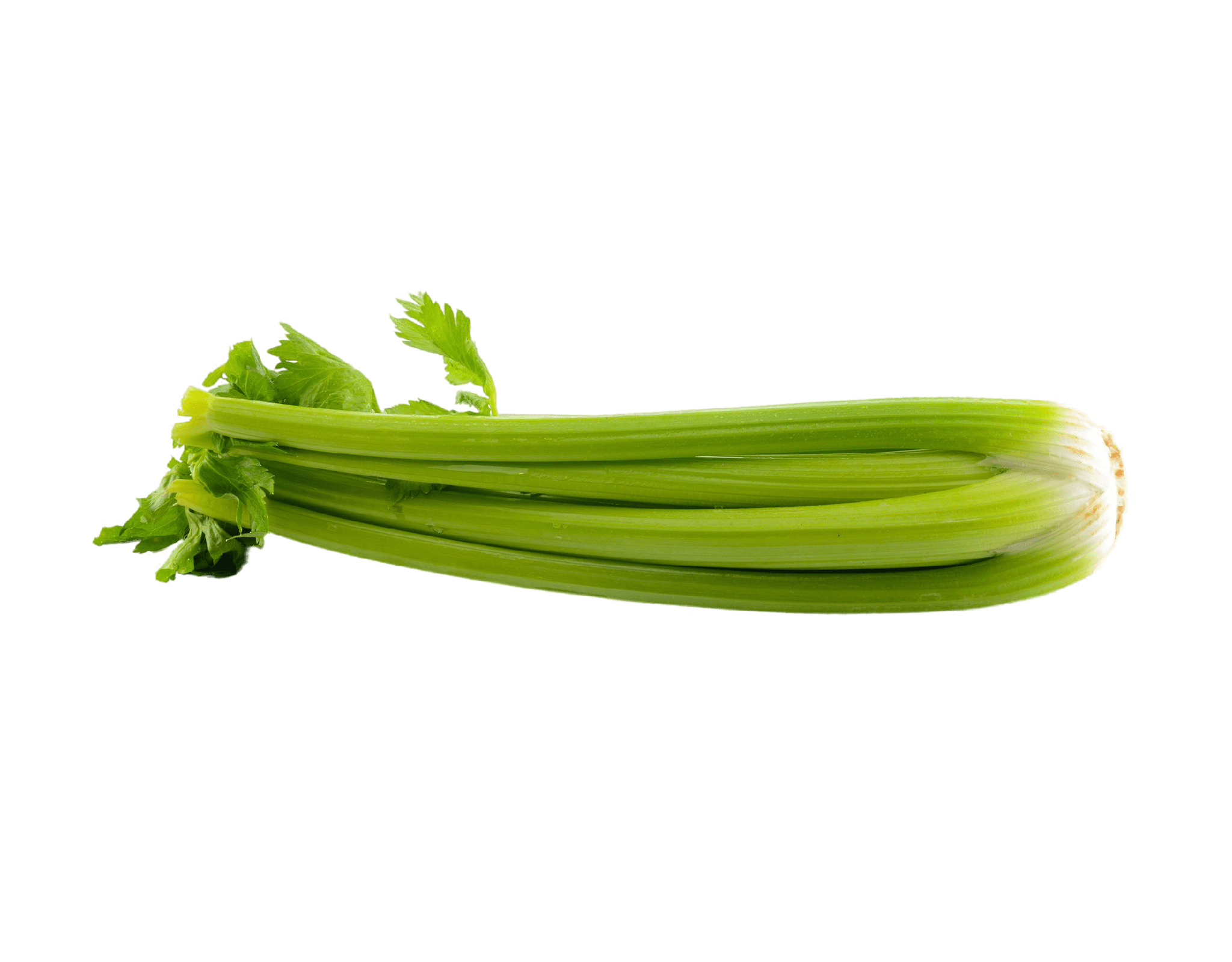 Fresh Australia Celery