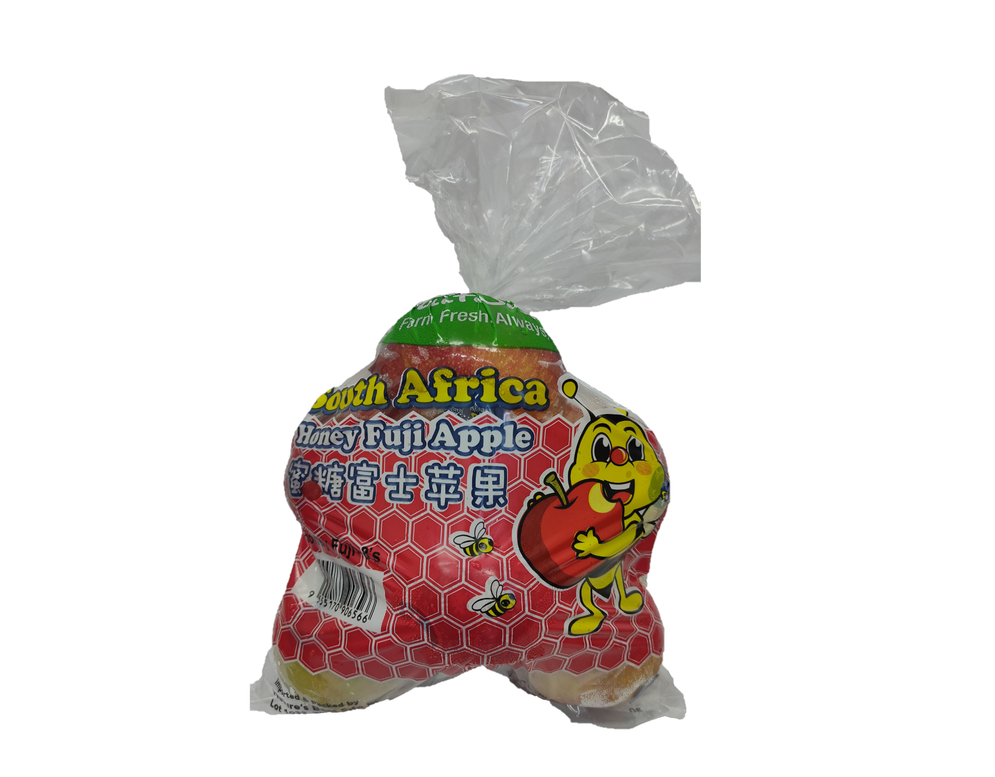 South Africa Honey Fuji Apple, 8 pcs
