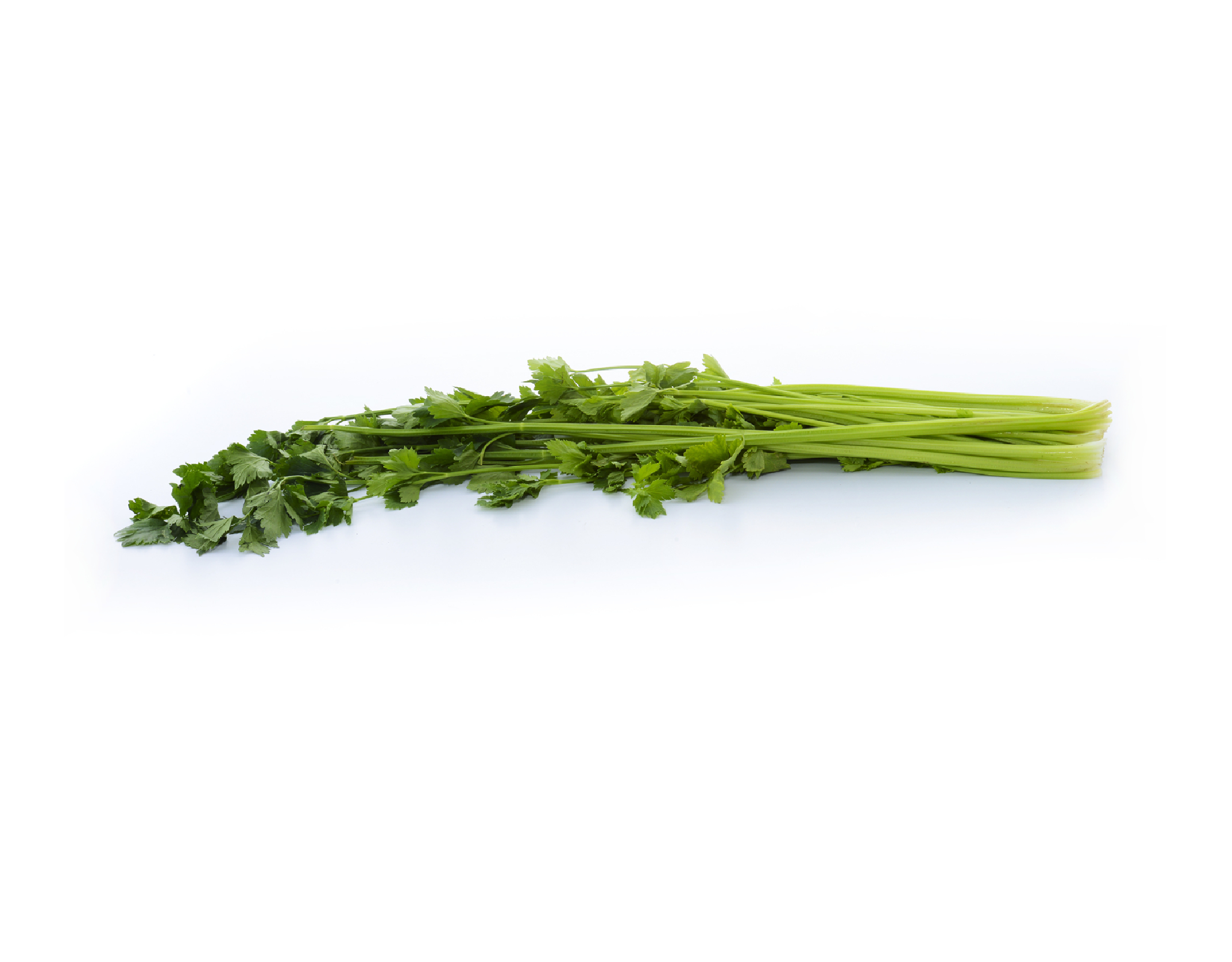 Segar2go Chinese Celery (Daun Sup)