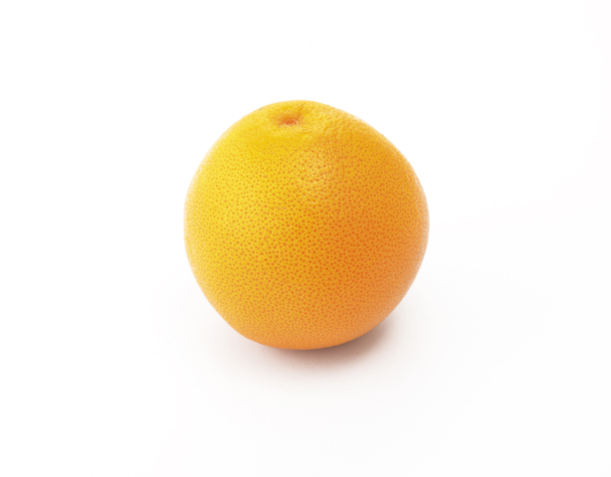 South Africa Grapefruits