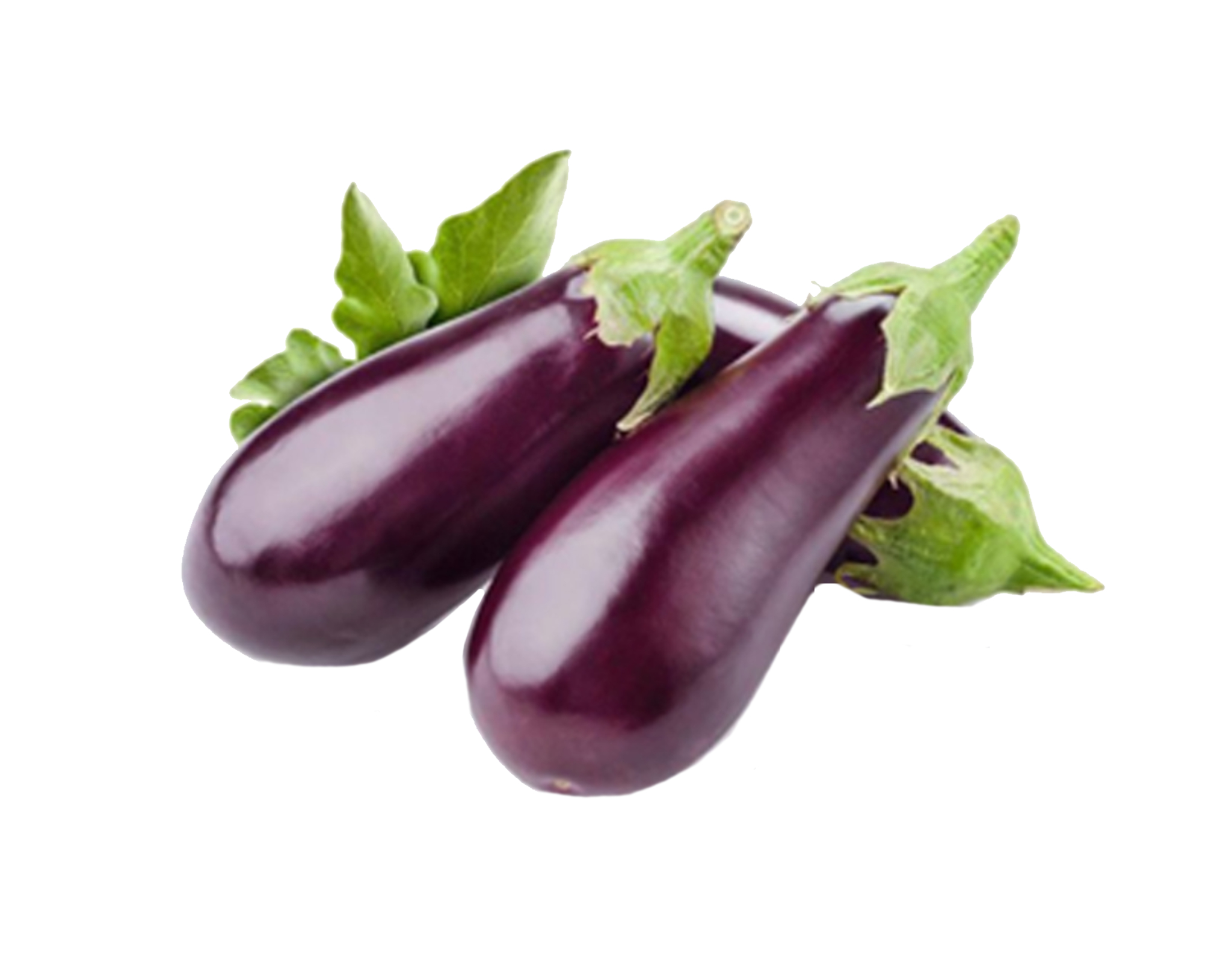 Short Brinjal Malaysia, 300g