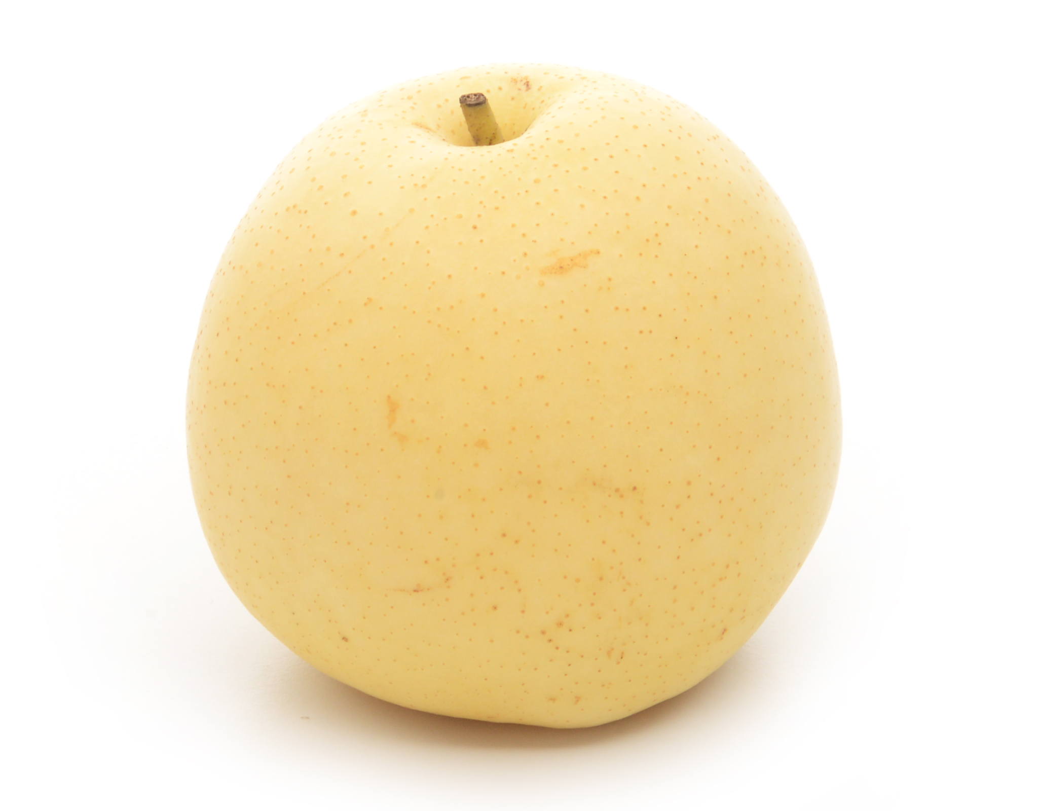 China Century Pear Xl, 1 pc