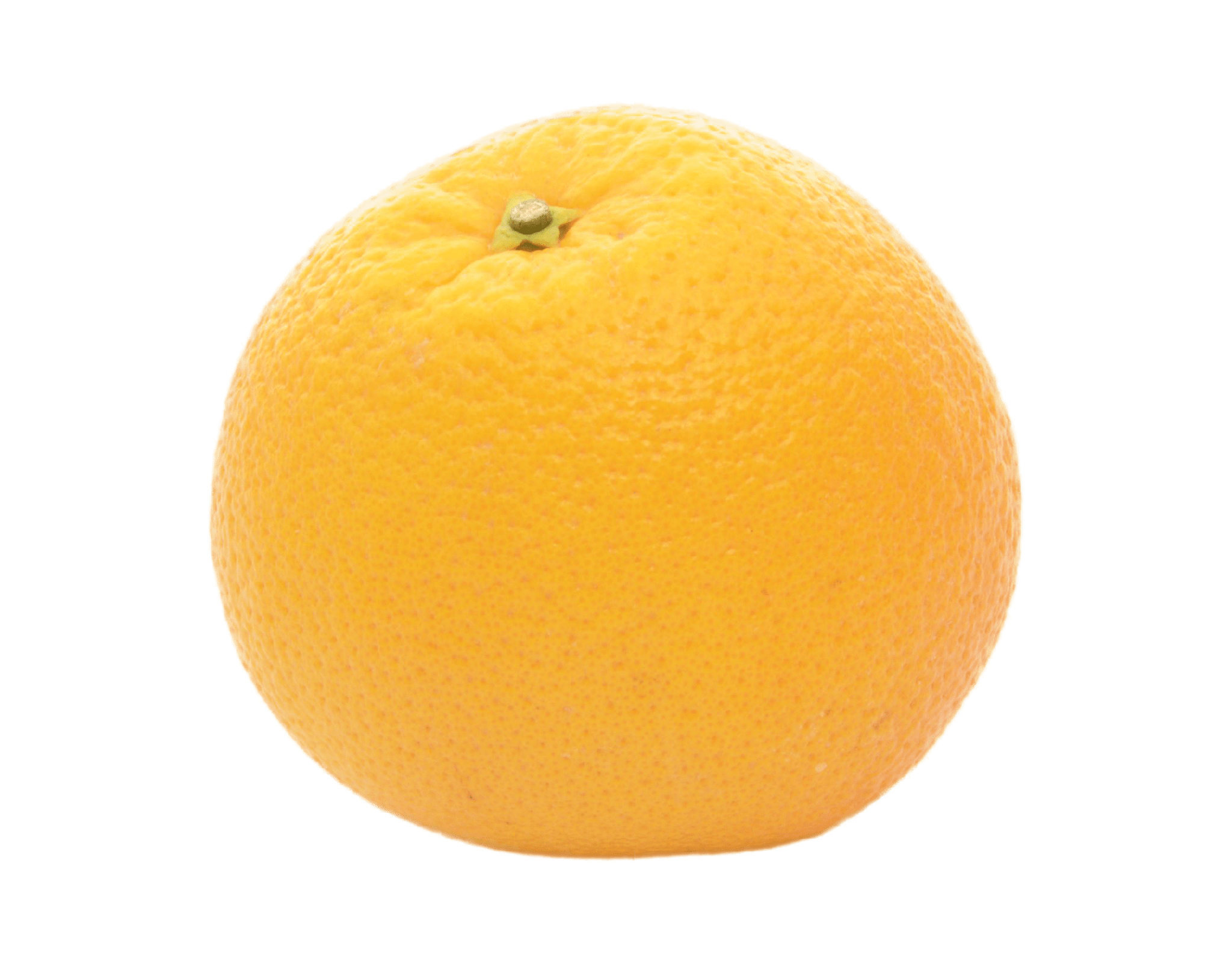 South Africa Navel Orange