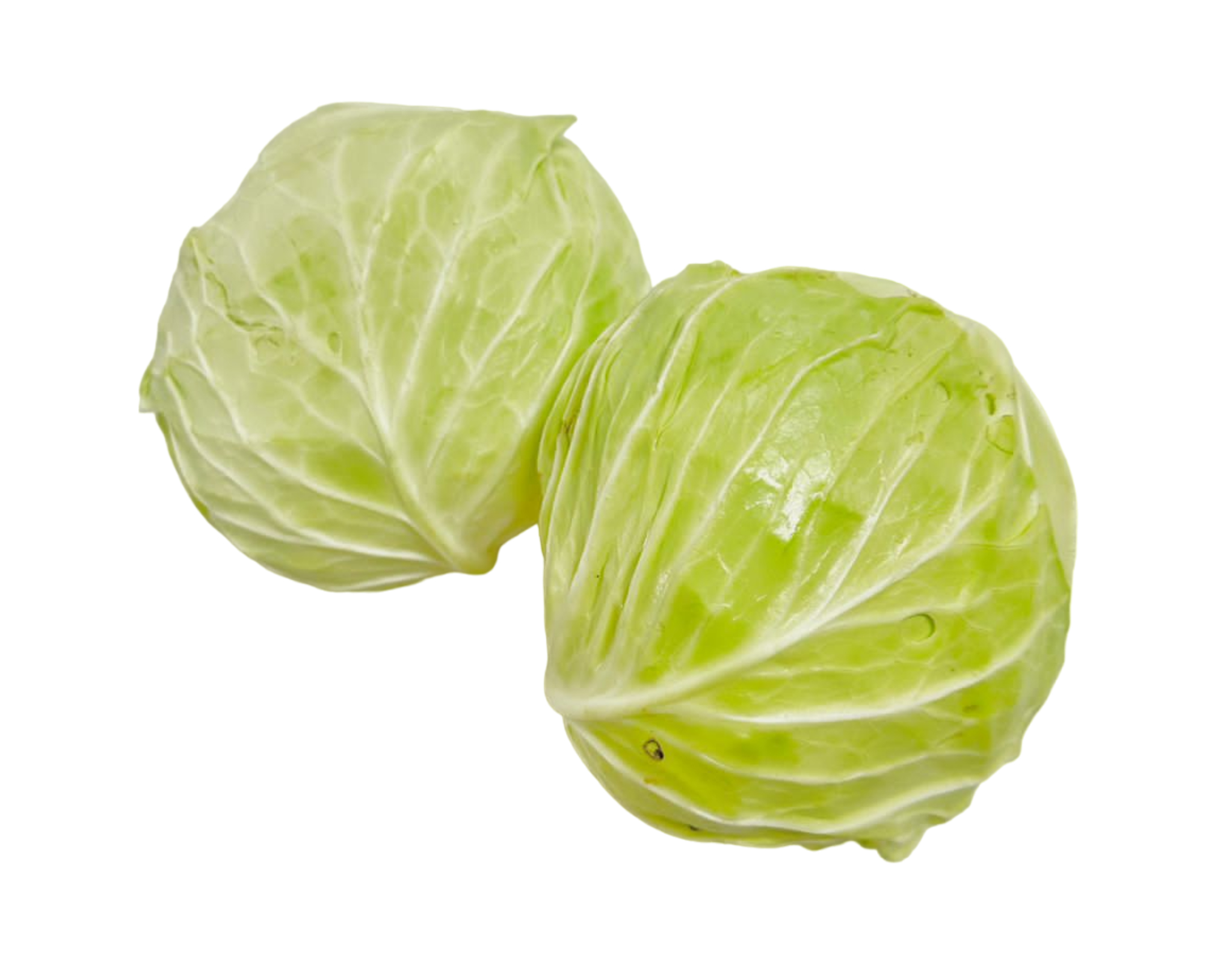 Fresh Cameron Round Cabbage