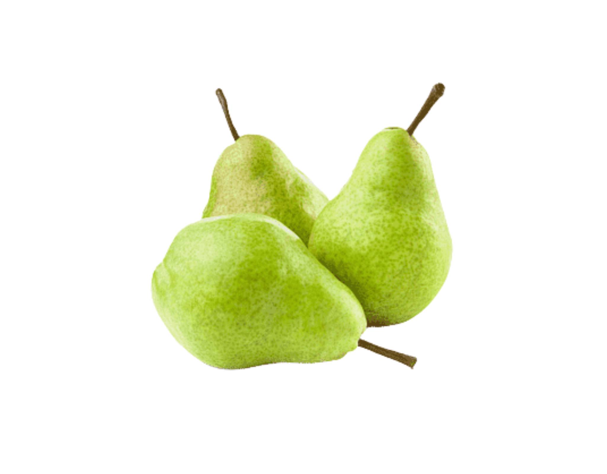 South Africa Packham Pear M Size