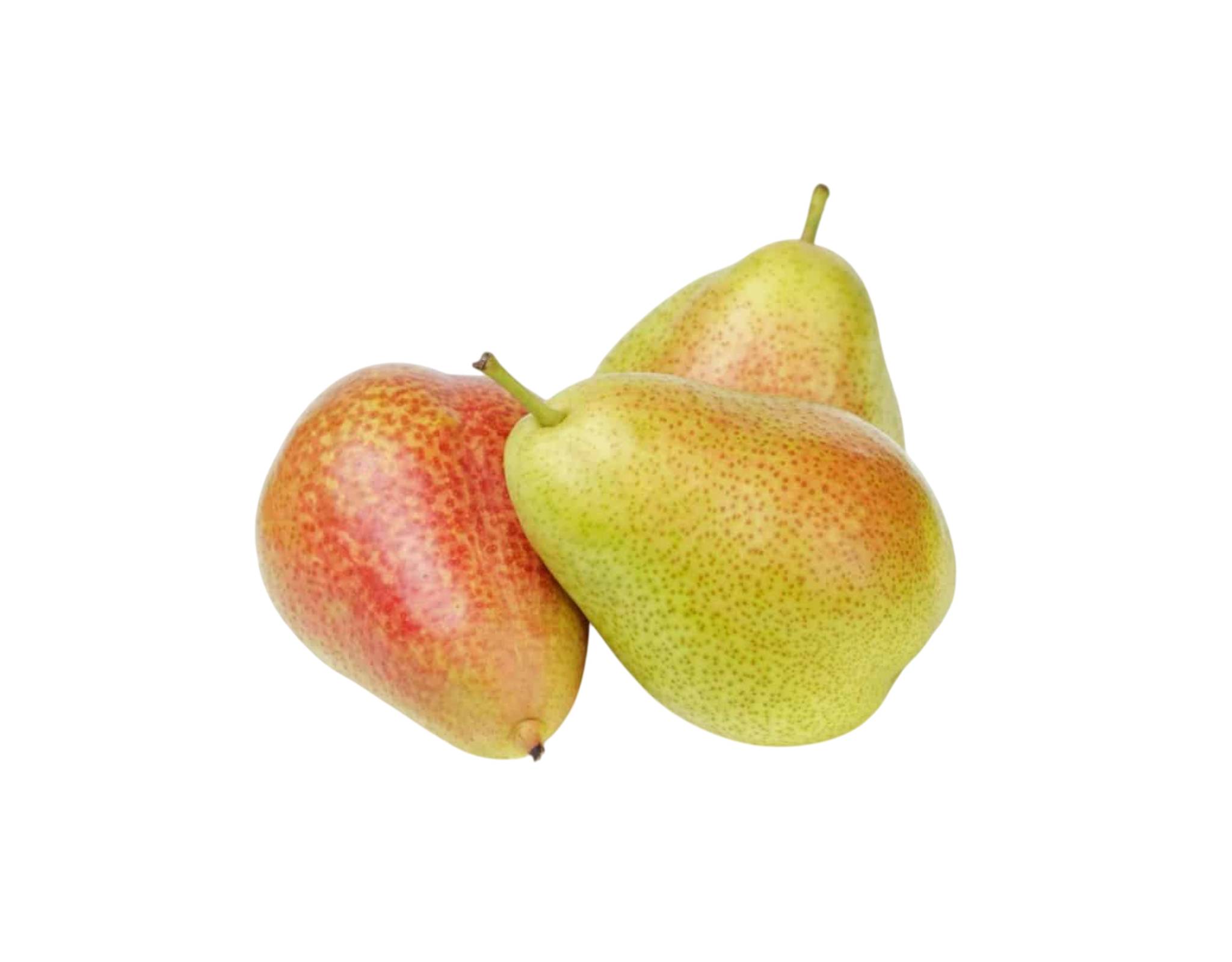 South Africa Forella Pear M